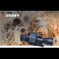 Day night gun sight